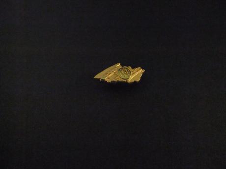 Volkswagen logo goudkleurig ( op rijbaan)